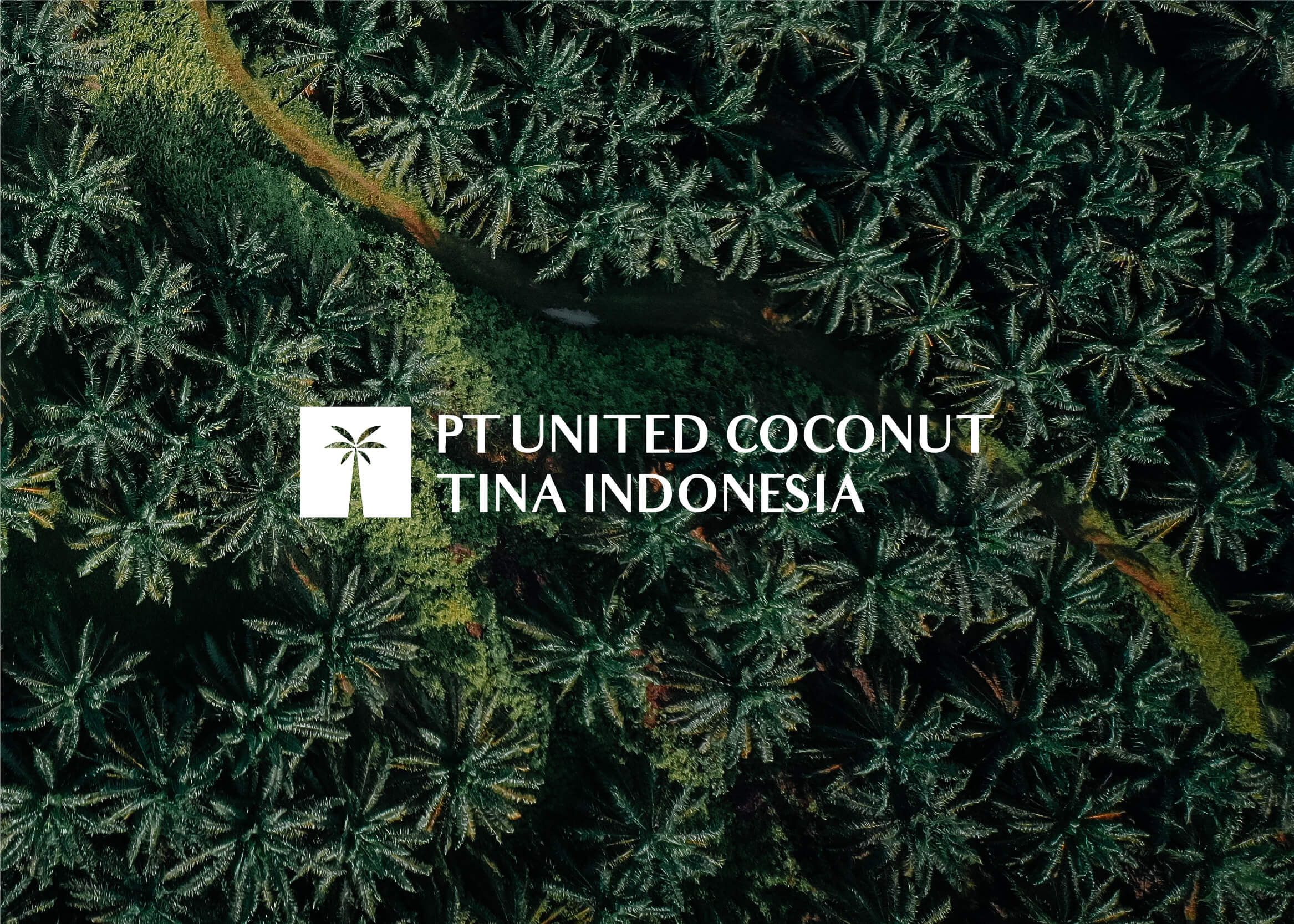 PT. United Coconut Tina
